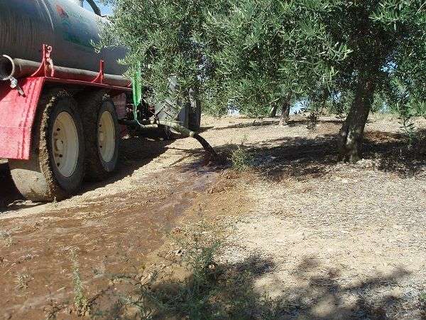 Gestión de residuos líquidos procedentes de las almazaras