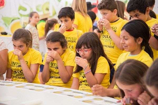 Escolares participando en un teller sobre los aceties de oliva