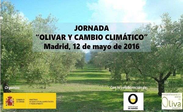 Jornada Olivar y Cambio Climático