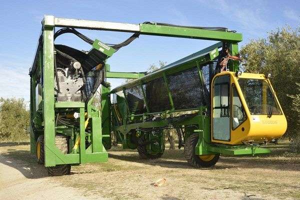 Equipo de recolección cabalgante adaptado al olivar intensivo