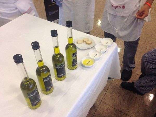 Los estudiantes pueden degustar las cuatro principales variedades de acetie de oliva virgen extra