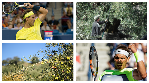 Aceites de Oliva de España y Rafa Nadal: nacidos en España, admirados en el mundo