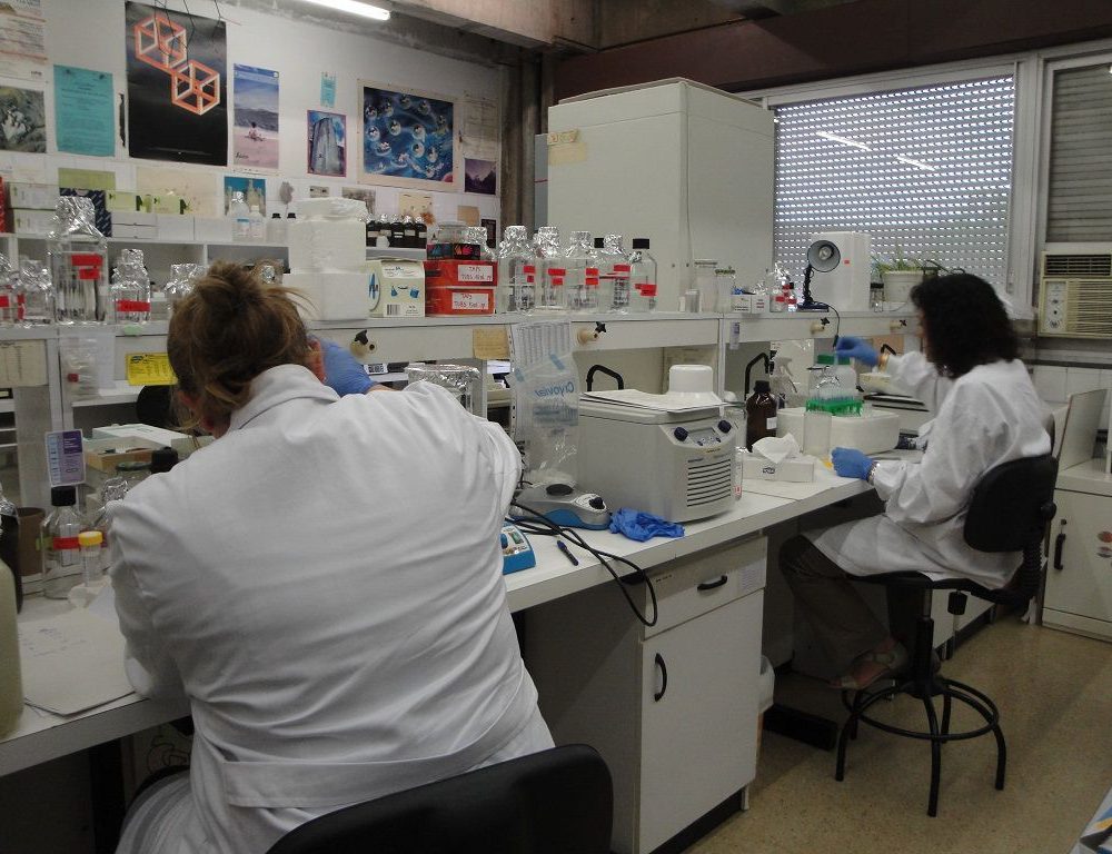 Efecto de la ingesta de grasas en el cáncer de mama