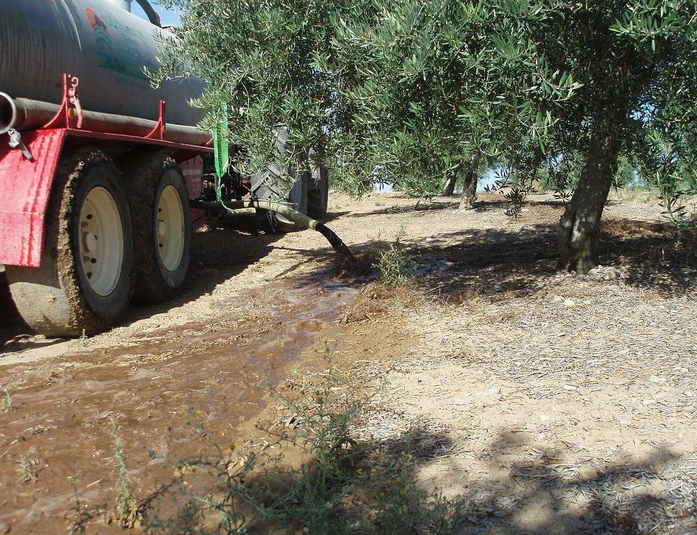 Gestión de residuos líquidos procedentes de las almazaras