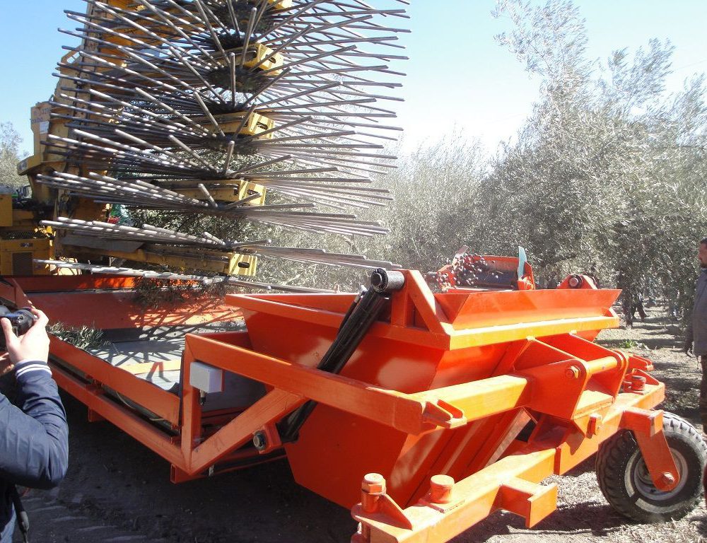 Innovaciones y nuevas tecnologías en el olivar – MECAOLIVAR