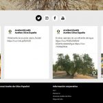 Aceites de Oliva de España llena de aroma y sabor las redes sociales de todo el mundo