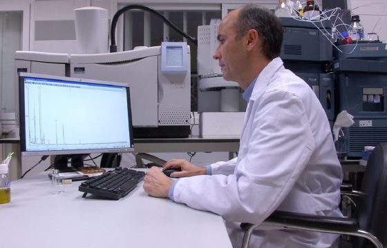 El Programa Nacional de Desarrollo Rural apuesta por la innovación en el sector del aceite de oliva con la creación del Grupo Operativo SENSOLIVE-OIL