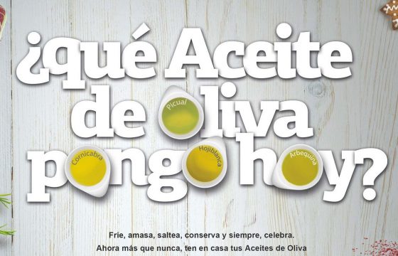 Luces… Cámara… ¡Aceites de oliva!