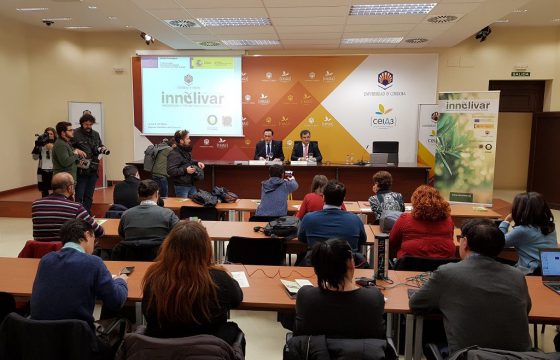 La Interprofesional del Aceite de Oliva Español apuesta por la innovación en el olivar