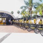 Málaga se empapa de la cultura de los Aceites de Oliva