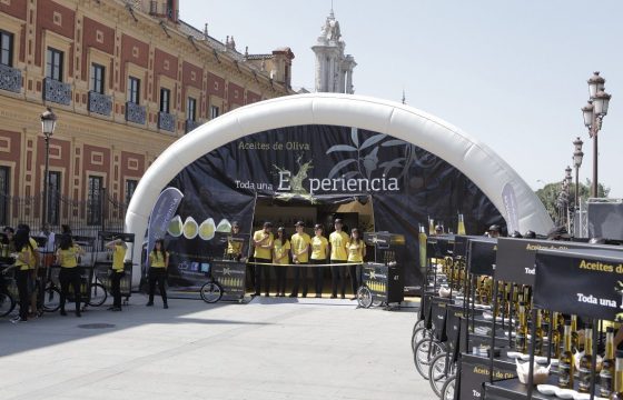 Semana de los Aceites de Oliva en Sevilla, una sabrosa Experiencia al alcance de todos