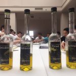 Disfruta de un nuevo gazpacho cada día alternando las distintas variedades de aceites de oliva virgen extra