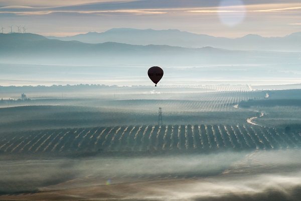 Desde un globo pudieron ver el mar de olivos desde una nueva perspectiva