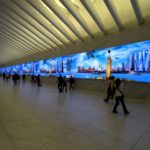 Aceites de Oliva de España hace historia obteniendo por primera vez un precio medio superior a sus competidores en Estados Unidos