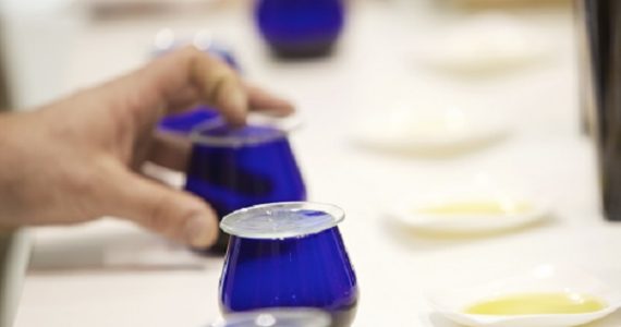 Cata de Aceites de Oliva de España en la Conferencia Internacional Tomorrow Tastes Mediterranean