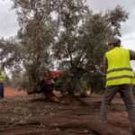 Sectores estratégicos de nuestra agro-economía solicitan al presidente del Gobierno que responda con contundencia a los ataques de la Administración Trump