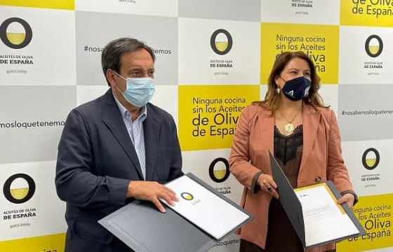 El sector suma esfuerzos para seguir mejorando la calidad de nuestros aceites de oliva