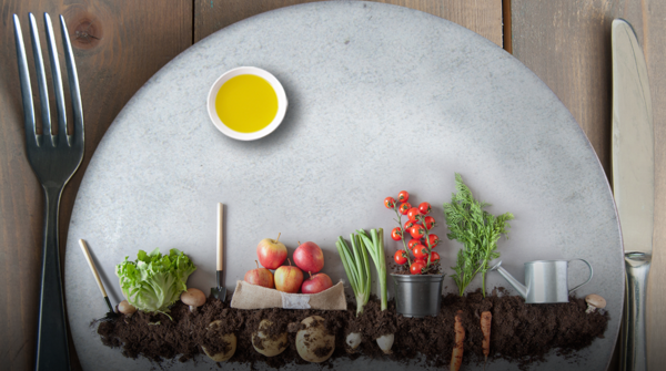 ¿Qué es el slow food y qué papel tiene el aceite de oliva en esta filosofía gastronómica?