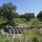 Reconocimiento europeo a la Interprofesional del Aceite de Oliva Español y a la Universidad de Córdoba por un proyecto conjunto de I+D+i