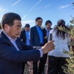 Una delegación China de alto nivel visita nuestro olivar para conocer sus fortalezas, de la mano de la Interprofesional del Aceite de Oliva