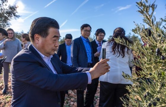 Una delegación China de alto nivel visita nuestro olivar para conocer sus fortalezas, de la mano de la Interprofesional del Aceite de Oliva