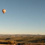 Periodistas brasileños se sumergen en la cultura de los Aceites de Oliva de España en las zonas productoras de Jaén