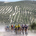 Los Aceites de Oliva son una apuesta imbatible para la nutrición y la salud de los deportistas