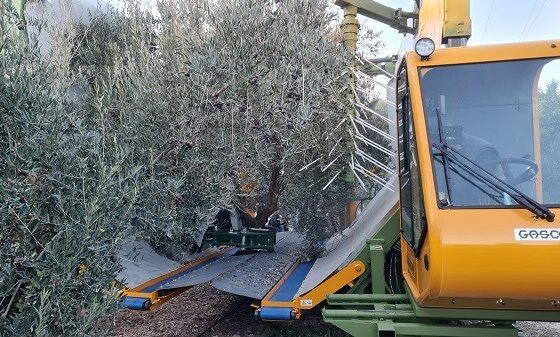 Evaluación del funcionamiento de vibradores de tronco con fluidos oleohidráulicos de base vegetal