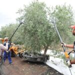 Ponemos a disposición del sector una Guía de Buenas Prácticas destinada a minimizar el riesgo de contaminación