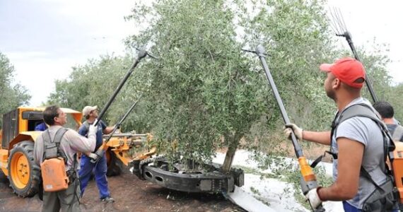 Ponemos a disposición del sector una Guía de Buenas Prácticas destinada a minimizar el riesgo de contaminación