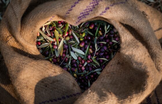 Incluir aceite de oliva en tu dieta puede ayudarte a bajar el colesterol