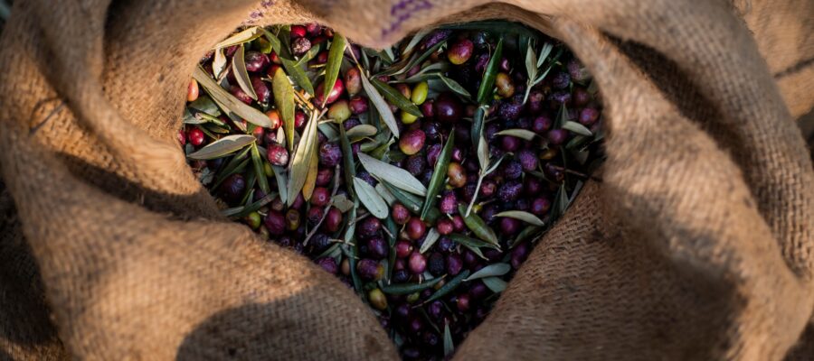 Incluir aceite de oliva en tu dieta puede ayudarte a bajar el colesterol
