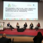 DOPs e IGPs de aceite de oliva virgen extra, máximo exponente de un modelo netamente europeo que prima la calidad y sostenibilidad ligada al territorio